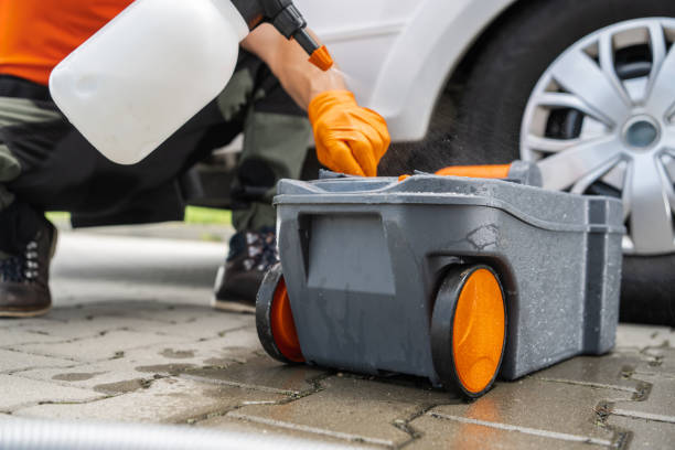 Lawn Pest Prevention in Boulder, CO